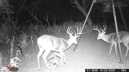 Riverfront Property for sale in Brown County, Texas