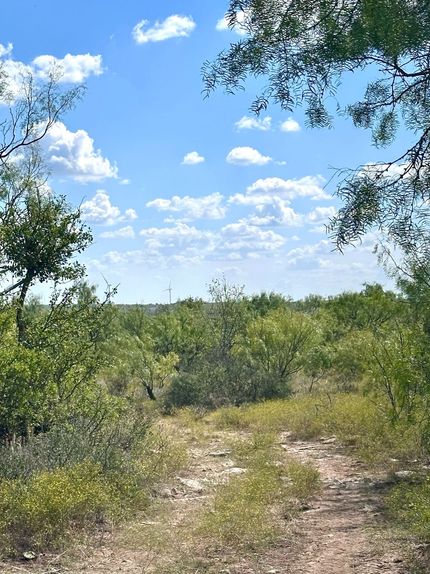 Property for sale in Callahan County, Texas