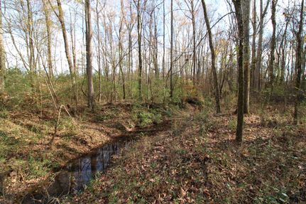 Timberland Property for sale in York County, South Carolina