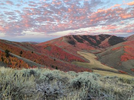 Ranch Property for sale in Oneida County, Idaho