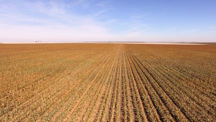 Property for sale in Cochran County, Texas