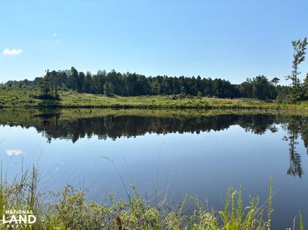 Waterfront Property for sale in Leake County, Mississippi