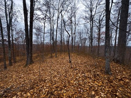 Farm Property for sale in Ritchie County, West Virginia