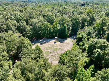 Timberland Property for sale in Pulaski County, Georgia