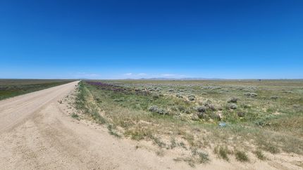 Farm Property for sale in Albany County, Wyoming