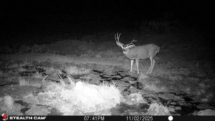 Farm Property for sale in Sevier County, Utah