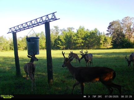 Farm Property for sale in Madison County, Florida