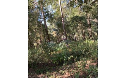 Farm Property for sale in Lafayette County, Florida