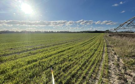 Farm Property for sale in Lafayette County, Florida