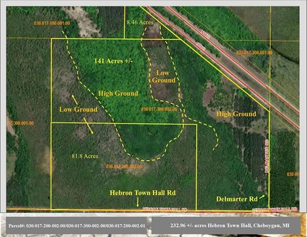 Undeveloped Land for sale in Cheboygan County, Michigan