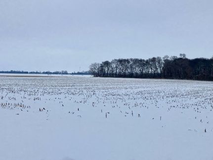 Property for sale in Whiteside County, Illinois