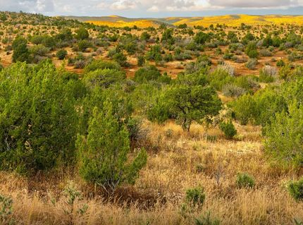 Ranch Property for sale in Otero County, New Mexico