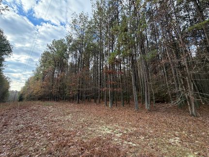 Undeveloped Land for sale in Bartow County, Georgia