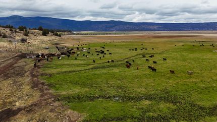 Farm Property for sale in Klamath County, Oregon