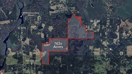 Hunting Land for sale in Sumter County, Florida