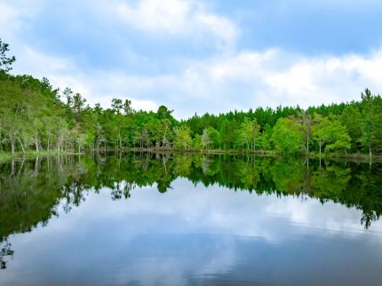 Recreational Property in Lancaster County, South Carolina
