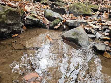 Hunting Land for sale in Mercer County, West Virginia