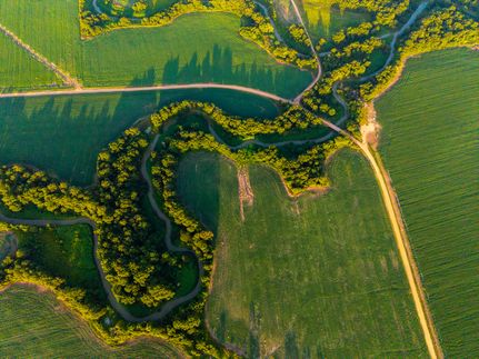 Hunting Land for sale in Tallahatchie County, Mississippi