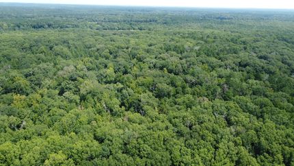 Residential Property for sale in Simpson County, Mississippi