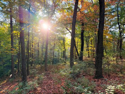 Farm Property for sale in Peoria County, Illinois