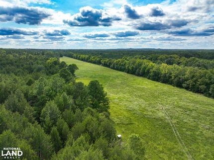 Property for sale in Lowndes County, Alabama