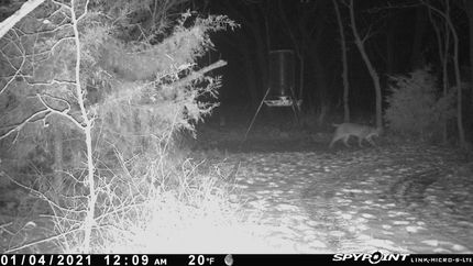 Farm Property in Butler County, Kansas
