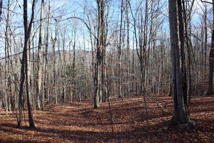 Ranch Property for sale in Warren County, New York