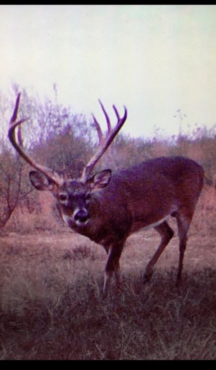 Farm Property in West Carroll Parish, Louisiana