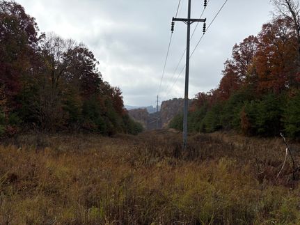 Undeveloped Land for sale in Muhlenberg County, Kentucky