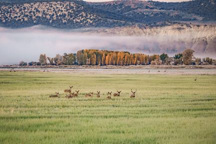 Riverfront Property for sale in Moffat County, Colorado