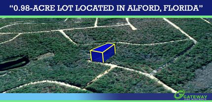 Farm Property for sale in Jackson County, Florida