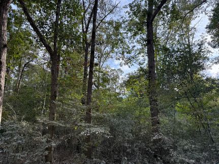 Property for sale in Polk County, Texas