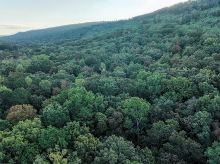 Property for sale in Saint Clair County, Alabama