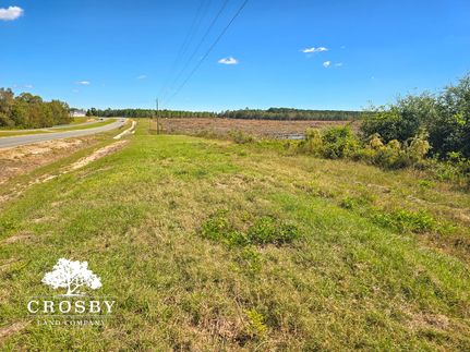 Timberland Property for sale in Dodge County, Georgia