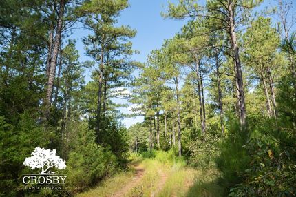 Recreational Property for sale in McCormick County, South Carolina