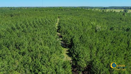 Property for sale in Taylor County, Georgia