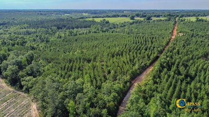 Property for sale in Marion County, Georgia