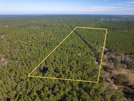Timberland Property for sale in Trinity County, Texas