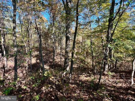 Undeveloped Land for sale in Bedford County, Pennsylvania
