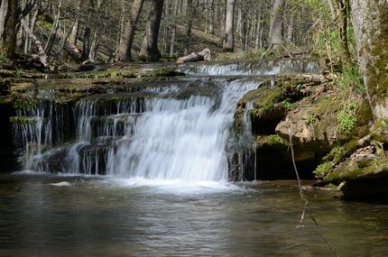 Recreational Property for sale in Metcalfe County, Kentucky