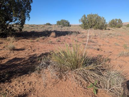 Farm Property for sale in Apache County, Arizona