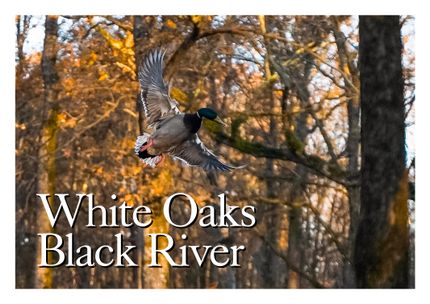 Farm Property for sale in Clay County, Arkansas