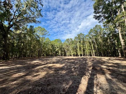 Farm Property for sale in Jasper County, South Carolina