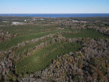 Timberland Property for sale in Craven County, North Carolina
