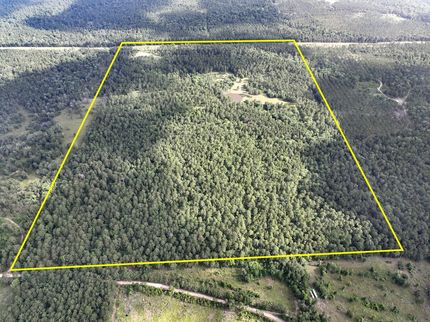 Timberland Property for sale in San Jacinto County, Texas