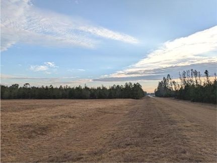 Farm Property for sale in Madison County, Florida
