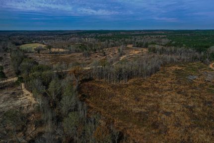 Farm Property for sale in Webster County, Mississippi