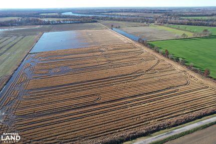 Property for sale in Alexander County, Illinois