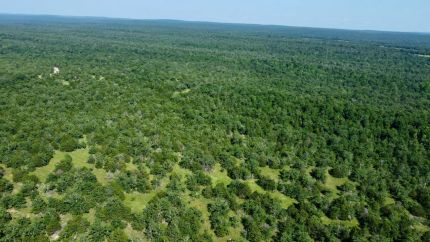 Property for sale in Pushmataha County, Oklahoma