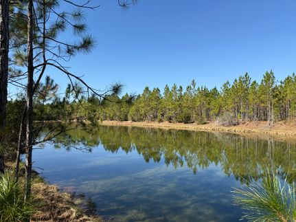 Farm Property for sale in Gulf County, Florida